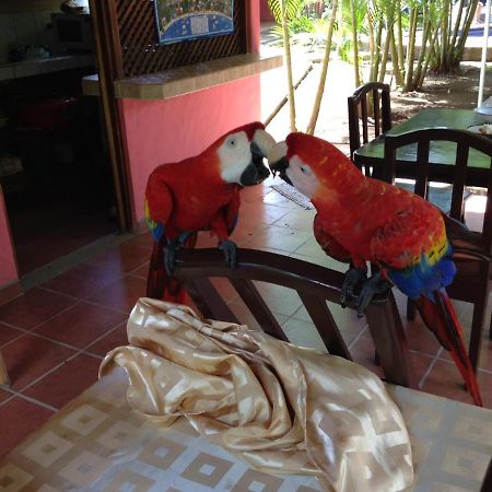 Hotel El Paraiso Escondido - Costa Rica Хако Екстер'єр фото