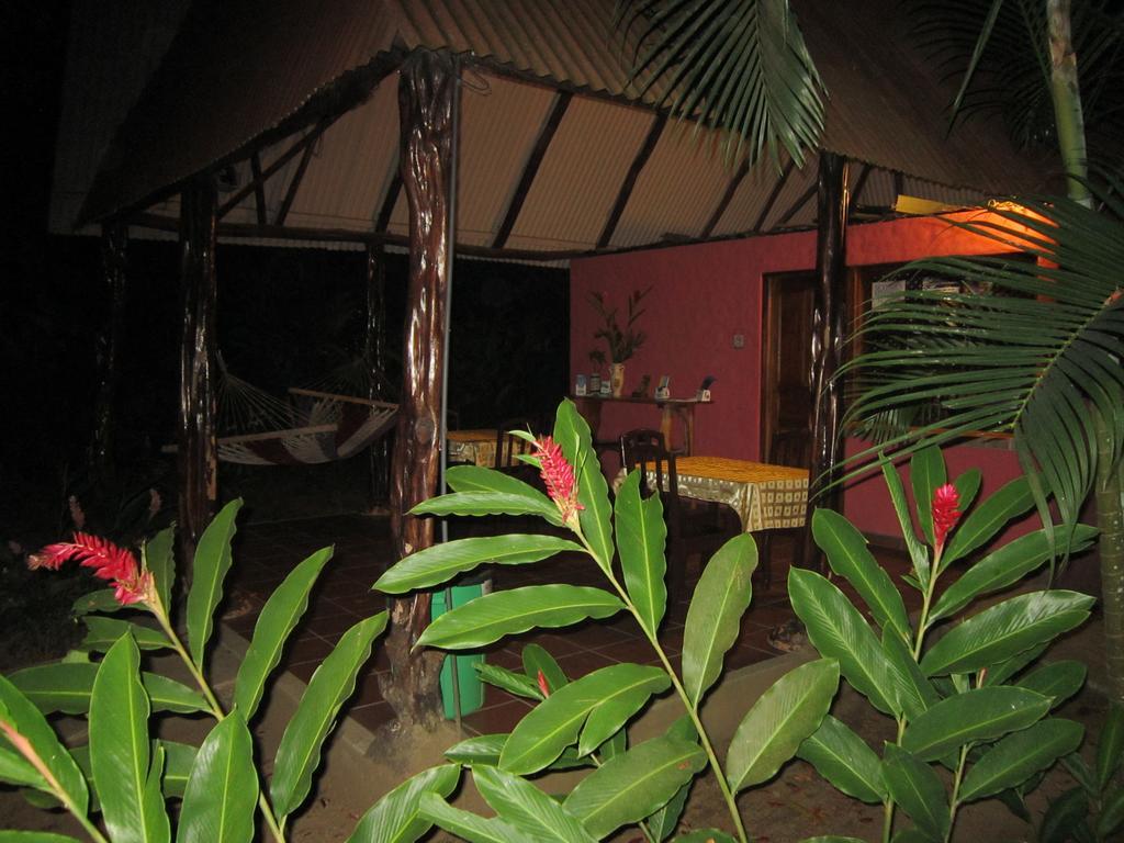 Hotel El Paraiso Escondido - Costa Rica Хако Екстер'єр фото