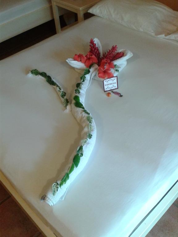 Hotel El Paraiso Escondido - Costa Rica Хако Екстер'єр фото