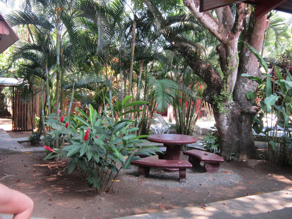 Hotel El Paraiso Escondido - Costa Rica Хако Екстер'єр фото
