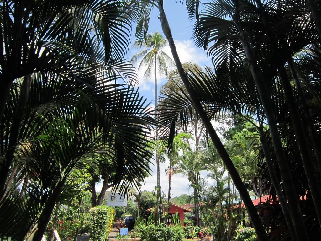 Hotel El Paraiso Escondido - Costa Rica Хако Екстер'єр фото