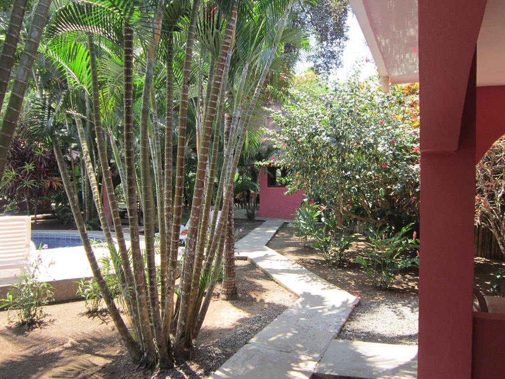 Hotel El Paraiso Escondido - Costa Rica Хако Номер фото