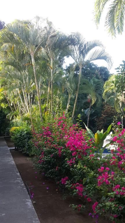Hotel El Paraiso Escondido - Costa Rica Хако Екстер'єр фото