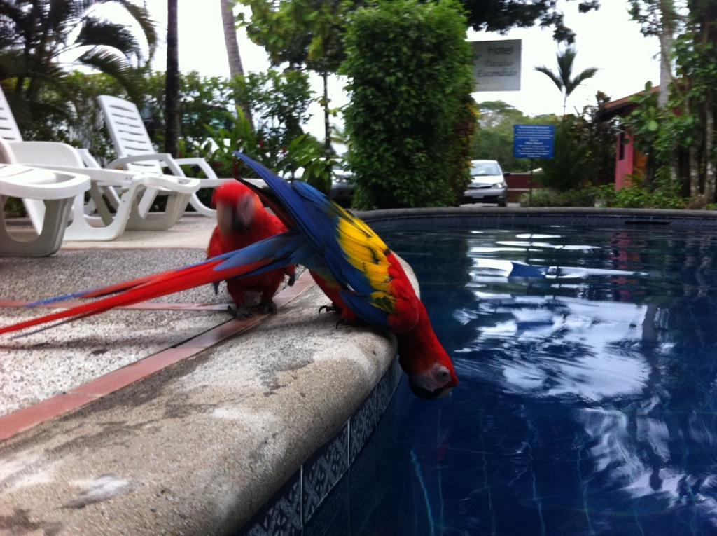 Hotel El Paraiso Escondido - Costa Rica Хако Екстер'єр фото