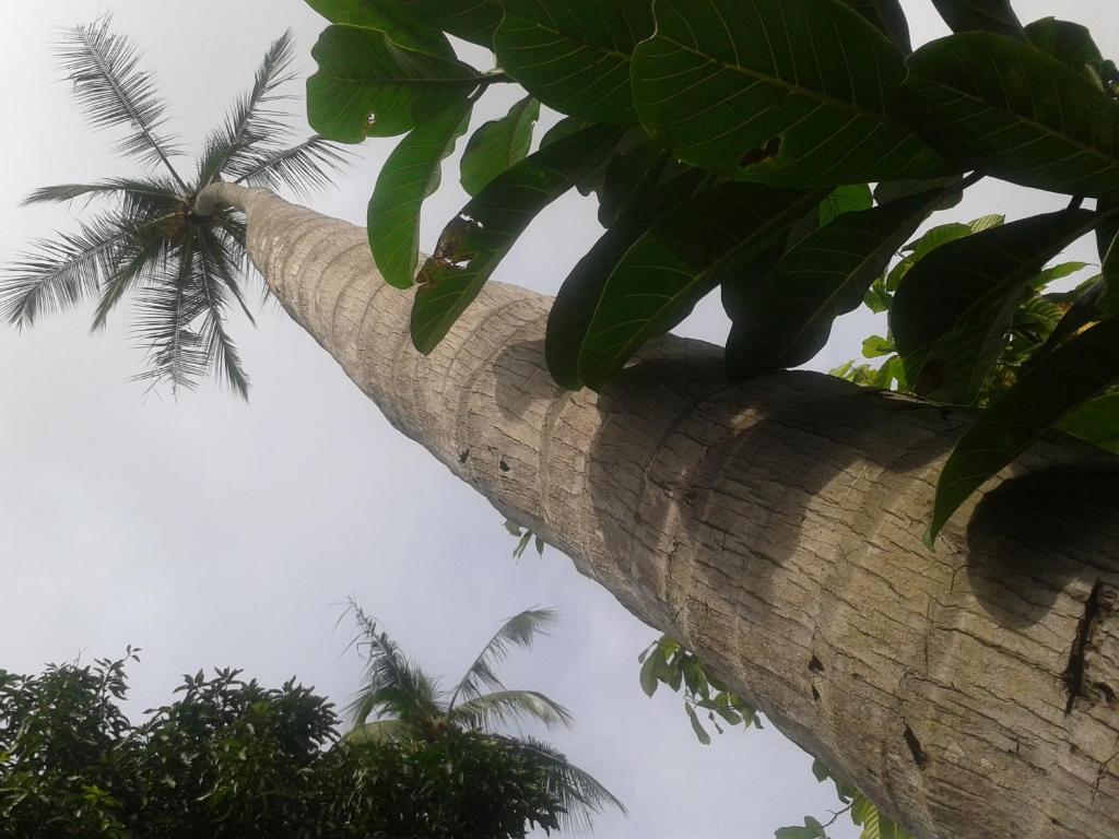 Hotel El Paraiso Escondido - Costa Rica Хако Екстер'єр фото