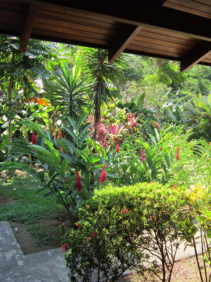 Hotel El Paraiso Escondido - Costa Rica Хако Екстер'єр фото