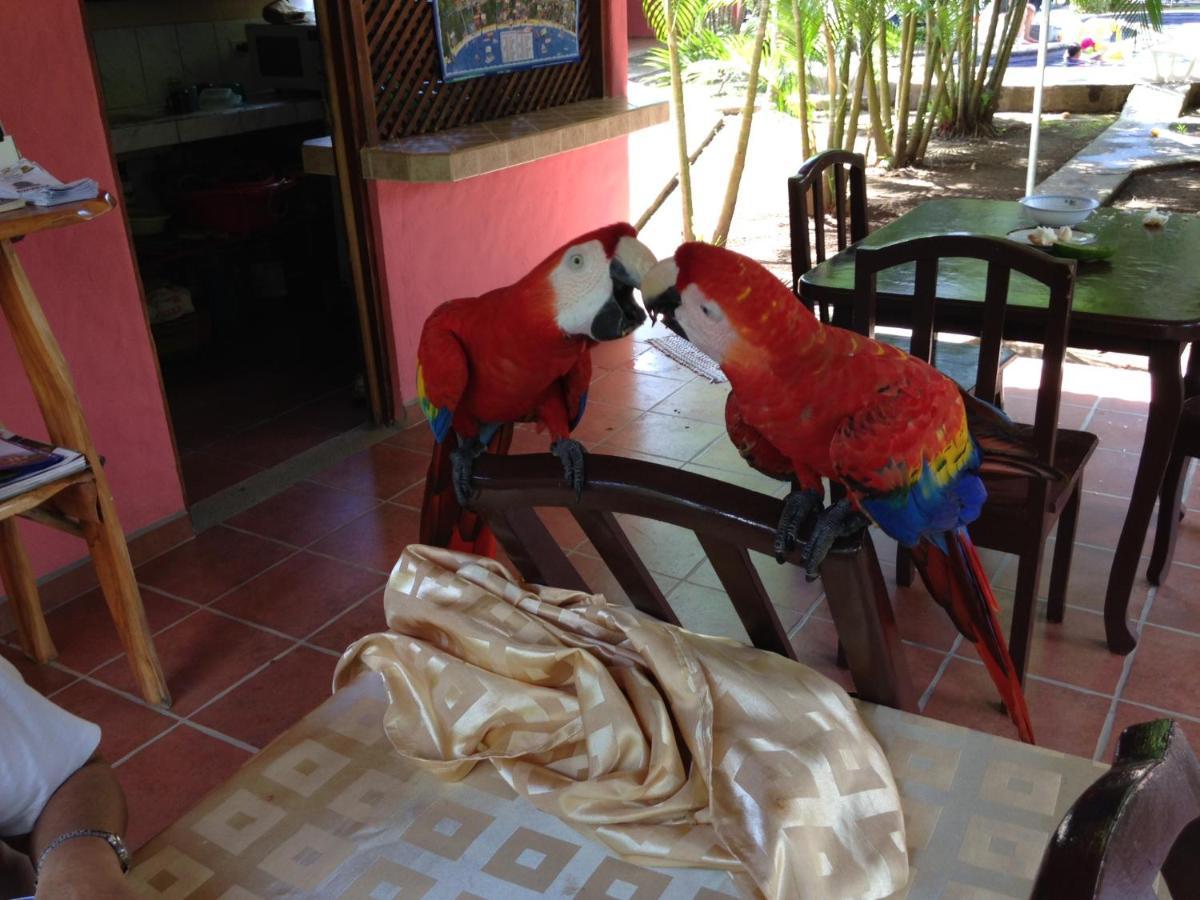 Hotel El Paraiso Escondido - Costa Rica Хако Екстер'єр фото
